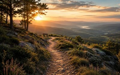 Becoming Wiser Through What We Have Lived